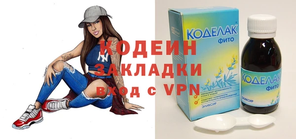 хмурый Алзамай
