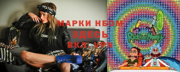 хмурый Алзамай