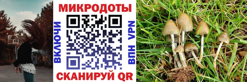 Псилоцибиновые грибы Magic Shrooms цена Петропавловск-Камчатский