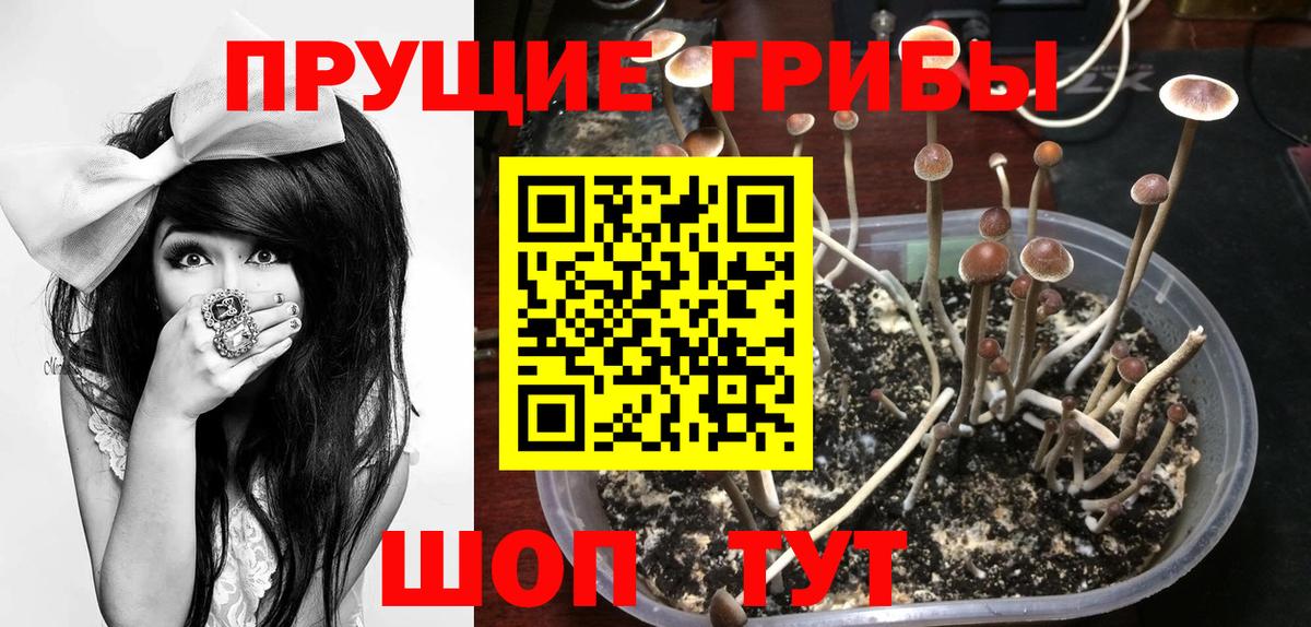 Галлюциногенные грибы GOLDEN TEACHER Петропавловск-Камчатский